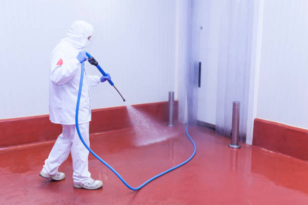 Best Soft Washing  in Hempstead, TX